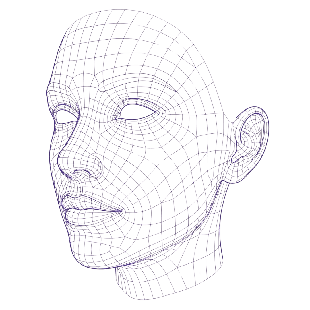 Render 3D da malha facial